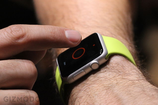 Illustration for article titled Apple Watch: Everything You Need to Know